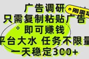 广告调研项目，只需复制粘贴广告即可挣钱，平台大水，任务不限量，一天3张【揭秘】