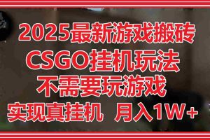 2025最新游戏搬砖，CSGO挂机，不需要玩游戏，实现真挂机，月入1W+