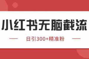 小红书只要你有同行就能获客，独家野路子获客玩法，暴力截流【揭秘】