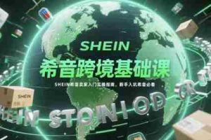希音跨境基础课，SHEIN希音卖家入门实操指南，新手入坑希音必看