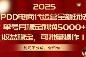 （14839期）2025PDD电商代运营全新玩法，单号月稳定利润5000+，收益稳定，可批量操作