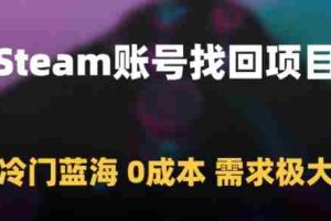 Steam账号找回项目，冷门蓝海，0成本，需求极大