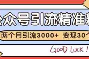 公众号精准粉引流玩法，2个月3000+精准粉，变现30个W【揭秘】