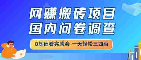 网创搬砖项目，国内问卷调查，小白轻松上手，一天三四张的也不难，干就完了【揭秘】