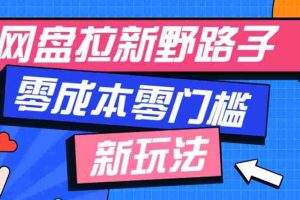 一个人也能操作的网盘拉新野路子玩法，零成本零门槛多种变现方式，轻松月入万元