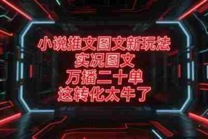 小说推文图文新玩法，实况图文，万播二十单，这转化太牛了！