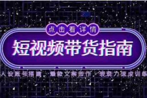 2025短视频带货指南，人设账号搭建，爆款文案创作，表现力速成训练