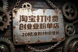 淘宝打付费创业粉单店每天稳定10-20精准粉持续增长【揭秘】