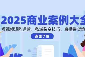 2025商业案例大全，短视频矩阵运营，私域裂变技巧，直播带货策略