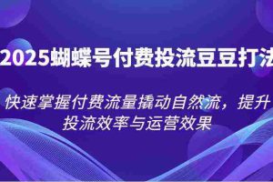 2025蝴蝶号付费投流豆豆打法，快速掌握付费流量撬动自然流，提升投流效率与运营效果