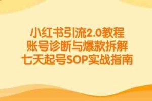小红书引流2.0教程，账号诊断与爆款拆解，七天起号SOP实战指南