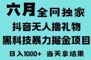 25年6月高爆抖音无人直播最新撸音浪掘金项目，门槛低小白可做，无脑日入1k，可矩阵放大【揭秘】