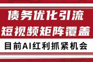 小红书某音债务优化赛道引流获客 自热矩阵日引200+