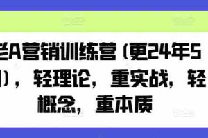 老A营销训练营(更25年6月)，轻理论，重实战，轻概念，重本质