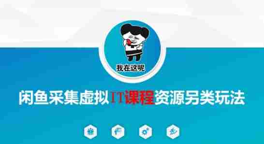 闲鱼采集虚拟IT课程资源另类玩法，干货满满
