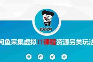 闲鱼采集虚拟IT课程资源另类玩法，干货满满