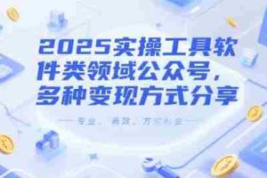 2025实操工具软件类领域公众号，多种变现方式分享