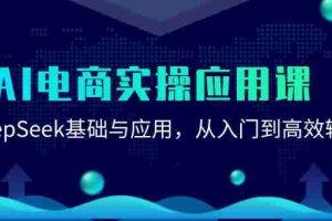 AI电商实操应用课：DeepSeek基础与应用，从入门到高效输出