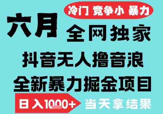 2025年6月高爆抖音无人直播最新撸音浪掘金项目，无脑日入1k+，低门槛小白可做，可矩阵放大【揭秘】