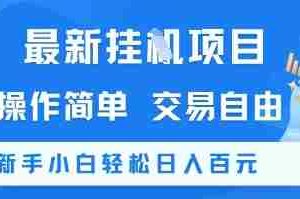 最新挂G项目，操作简单，交易自由，新手小白轻松日入100+【揭秘】