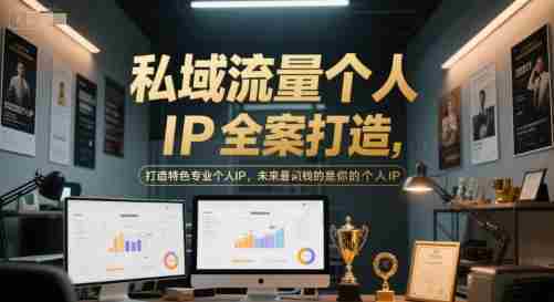 私域流量个人IP全案打造，打造特色专业个人IP，未来最值钱的是你的个人IP