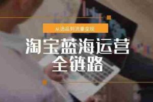 （15160期）淘宝蓝海运营全链路，从选品到流量变现，小类目突围完整方案