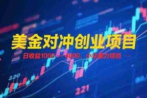 （15187期）美金对冲创业项目，日收益 1000 – 4000，小众暴力项目