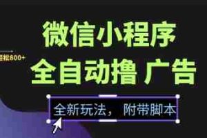 微信小程序全自动撸广告项目，彻底解决没流量的问题，新手一天8张+【揭秘】