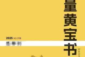 群响流量黄宝书25-29期，群响内部私享资料非卖品