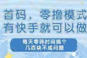 首码零撸项目，有快手就可以做，每天业务时间搞个几张不是问题【揭秘】