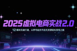 2025虚拟电商实战2.0，12模块无缝打通，从养号起步开启无货源轻松变现之路