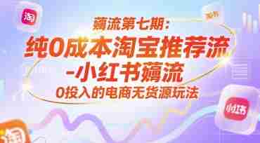 薅流第七期:纯0成本淘宝推荐流-小红书薅流最新版目,0投入的电商无货源玩法(附赠往期)