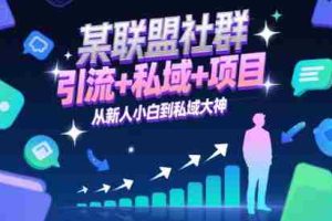 某联盟社群，引流+私域+项目，从新人小白到私域大神