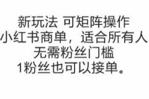 可矩阵操作，小红书商单新玩法，适合所有人，无需粉丝门槛，1粉丝也可以接单