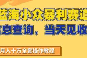 蓝海小众暴利赛道，信息查询，当天见收益，不讲玄学，7天搞了2万+
