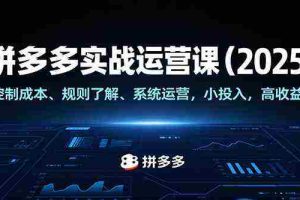 拼多多实战运营课（2025），控制成本、规则了解、系统运营，小投入，高收益！