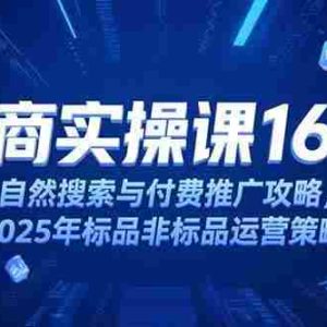 （15262期）淘宝电商运营课16.0，自然搜索与付费推广攻略，2025年标品非标品运营策略