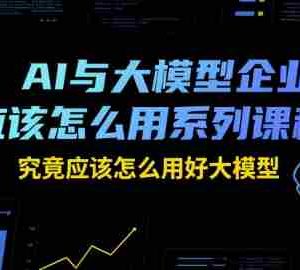 AI与大模型企业应该怎么用系列课程，究竟应该怎么用好大模型