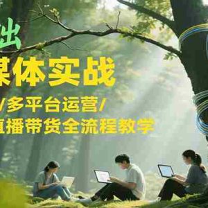 零基础AI自媒体实战，AI工具应用/多平台运营/内容制作/直播带货全流程教学