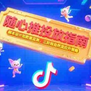（15291期）随心推投放指南，脚本设计加数据监测，三阶段自然流拉升策略