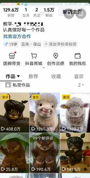 抖音65W博主AI萌宠课程，新赛道流量大，原创+二创，全套课程+提示词