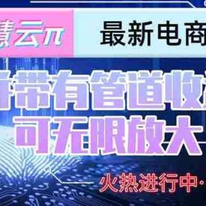 （15314期）智慧云π电脑挂机单机每天收益300—500+ 并带有团队管道收益 可无限放大