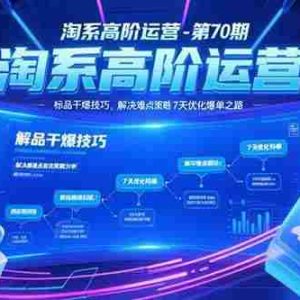 （15307期）淘系高阶运营-第70期，标品干爆技巧，解决难点策略，大佬操盘方法