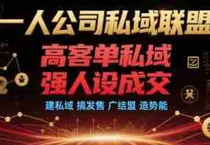 一人公司私域联盟，高客单私域，强人设成交，建私域 搞发售 广结盟 造势能