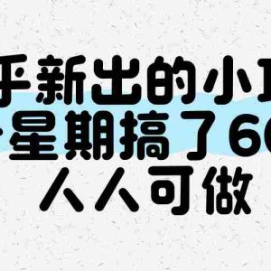 知乎新出的小项目，一个星期搞了600+，人人可做