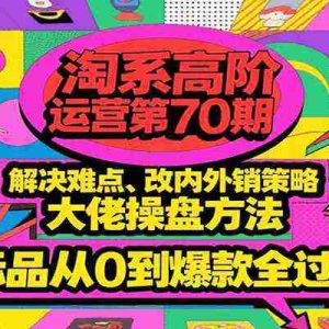 淘系高阶运营第70期，解决难点、改内外销策略，大佬操盘方法，标品从0到爆款全过程