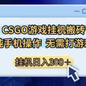 CSGO游戏挂G搬砖，小白纯手机即可操作，不用电脑打游戏，日入3张+，副业网创项目【揭秘】