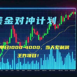 （15333期）2025年最暴力项目“美金先登计划”最新最强对冲战法，每日实际收益1K-4K