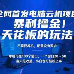 （15323期）电脑云机项目 暴力撸金玩法，不需要养机 配置没有要求 单机100个窗口一…