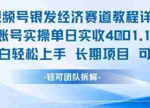 视频号银发经济赛道单账号实操单日实收1k+，小白轻松上手长期项目